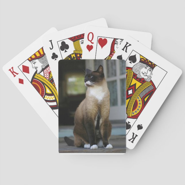 Siamesisk katt på porten spelkort (Baksidan)