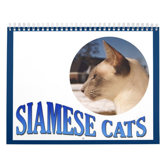 Siamesisk kattkalender 2024 kalender (Omslag)