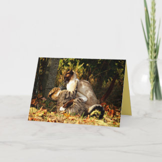 Siamesisk Kitty Katt Söt Anpassningsbar Kort