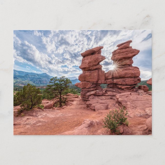 Siamesiska tvillingar Colorado Sunburst vykort (Framsida)