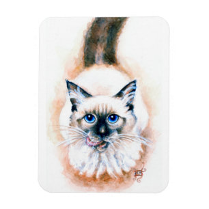 Siamesiskt kattvatten magnet