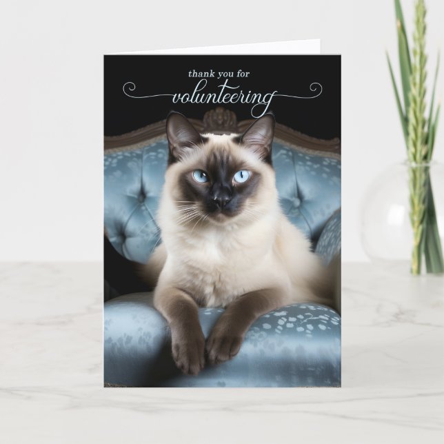 Siamessisk katt på en blå stol frivillig tack kort (Framsida)