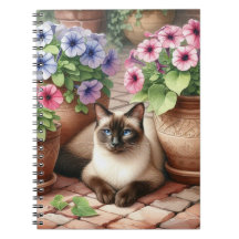 Siamkat och Petunia Blommor