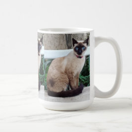 SIAMO CAT MUGG GIFT