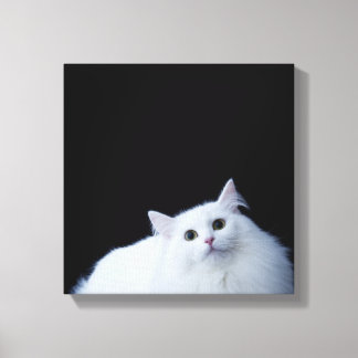 Siberian Cat Canvastryck