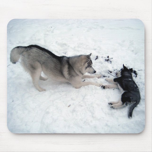 Siberian Huskies - Mousepad Musmatta (Framsidan)