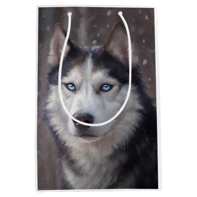 Siberian husky (Framsidan)