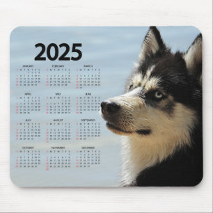 Siberian Husky 2025 Hundkalender Musmatta