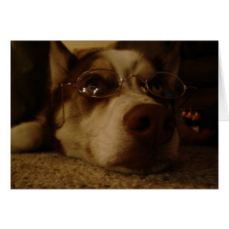 Siberian husky (5) hälsningskort