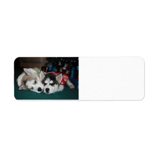 Siberian husky Adress labb Returadress Etikett