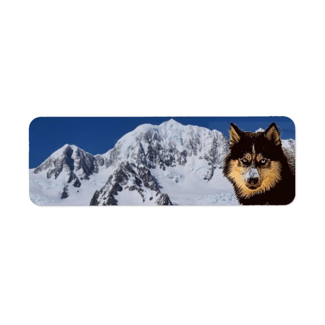 Siberian husky-adressetikett returadress etikett (Framsidan)