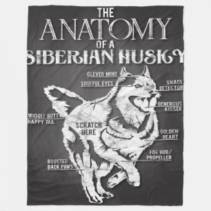 Siberian husky Anatomy Areff Husky Hund Fleecefilt