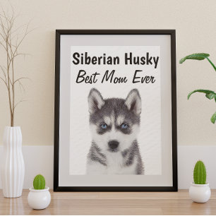 Siberian husky Best Mamma Poster