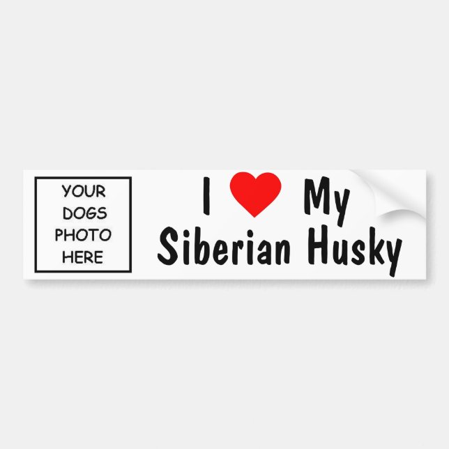 Siberian husky bildekal (Framsidan)