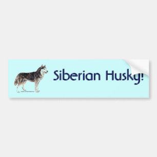 Siberian husky! bildekal