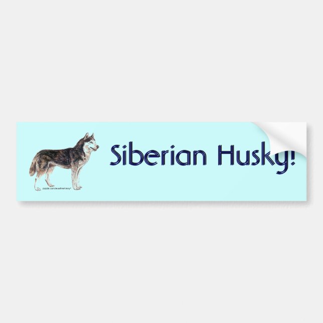 Siberian husky! bildekal (Framsidan)