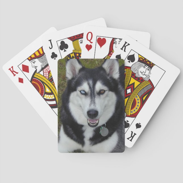 Siberian husky Blue Brown Öga Spelkort (Baksidan)