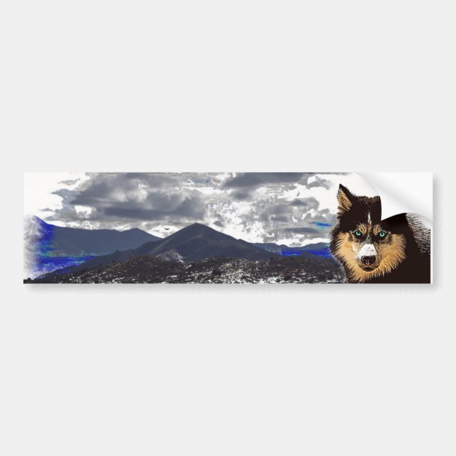 Siberian husky Bumper Sticker Bildekal (Framsidan)