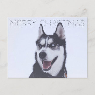 Siberian Husky-Christmas Helg Vykort