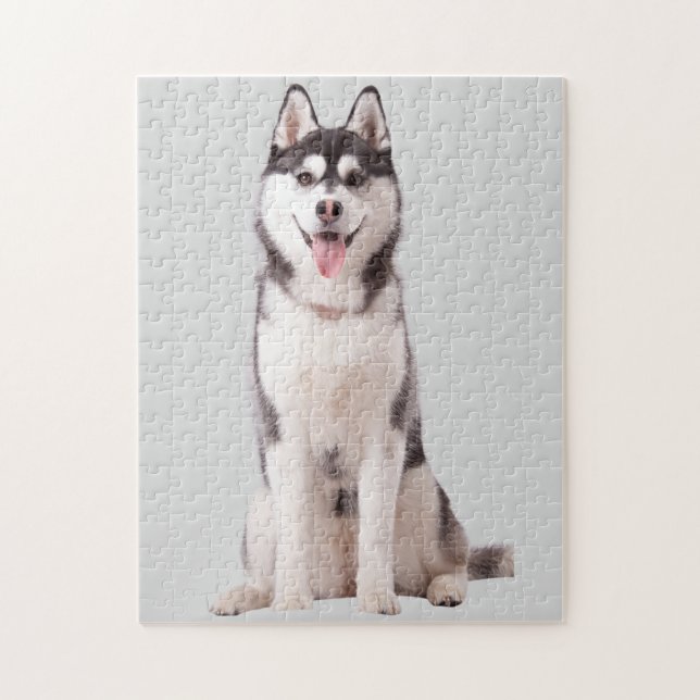 Siberian Husky Dog Pussel (Vertikal)