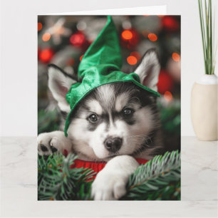Siberian husky Elf Puppy-julkort Kort