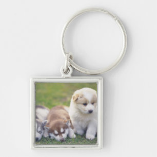 Siberian husky; En funktionsduglig hund aveln det Fyrkantig Silverfärgad Nyckelring