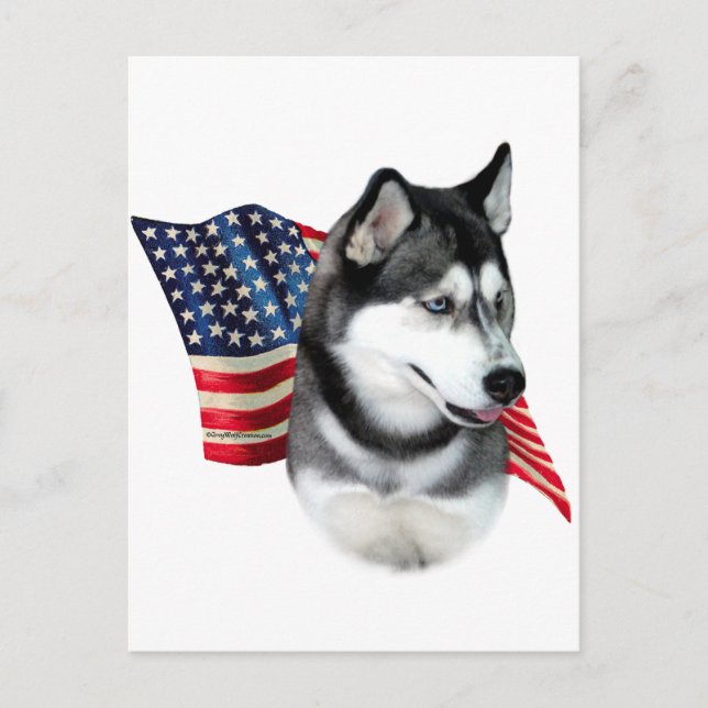 Siberian husky Flagga Vykort (Framsida)