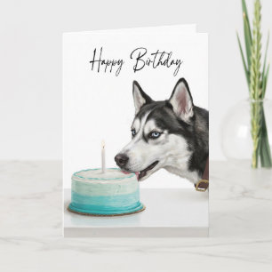 Siberian Husky Födelsedagstårta Inspektör Kort
