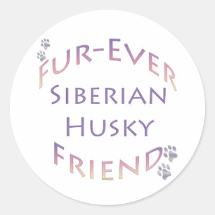Siberian husky Furever Friend Runt Klistermärke