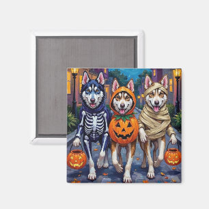 Siberian Husky Halloweenkostym för trick-or-treat Magnet