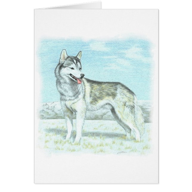 Siberian husky hälsningskort (Framsidan)