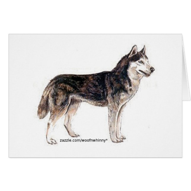 Siberian husky! hälsningskort (Framsidan Horizontal)