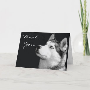 Siberian husky-hälsningskort för Tack Kort
