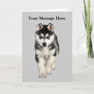 Siberian husky-hälsningskort helgkort