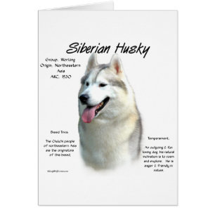 Siberian husky historikdesign hälsningskort