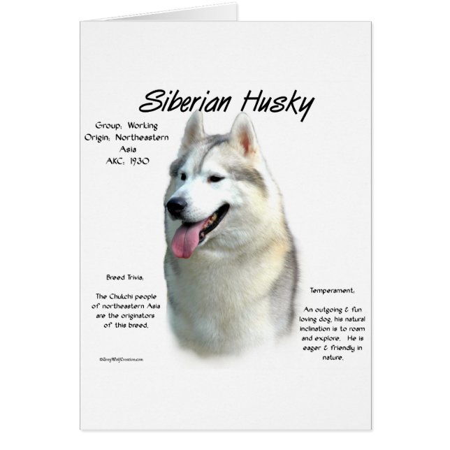 Siberian husky historikdesign hälsningskort (Framsidan)