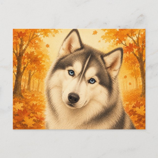 Siberian Husky Höst Skog Hund Vykort (Framsida)
