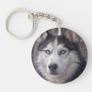 Siberian husky Hund