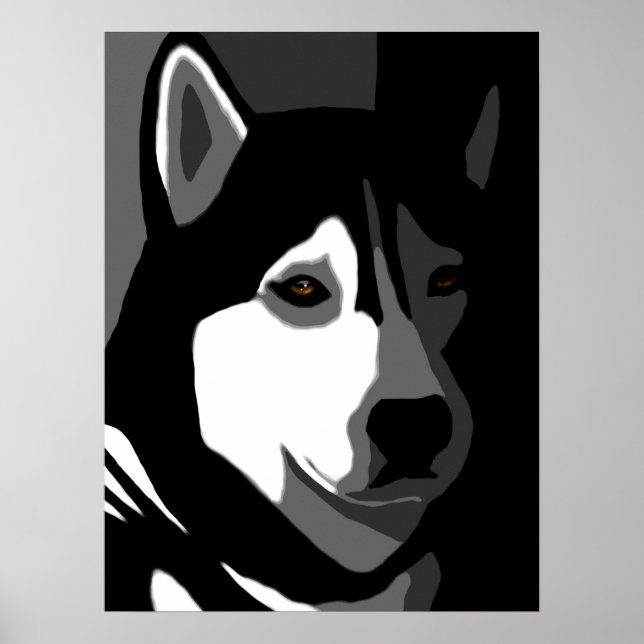 Siberian husky Hund 162 Poster (Framsidan)