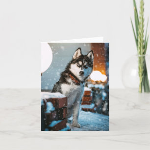 Siberian husky Hund älskare-Helgdag julkort Helgkort