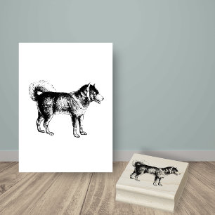 Siberian husky Hund aveln Stämpel