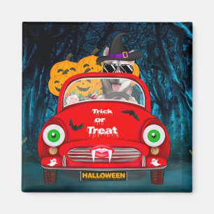 Siberian husky Hund-bilsscenario Halloween Magnet