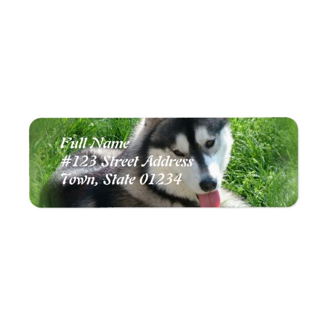 Siberian husky Hund e-poststämpel Returadress Etikett (Framsidan)