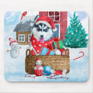SIBERIAN HUSKY HUND i HUND i SNÖ Musmatta