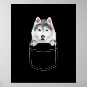 Siberian husky Hund i Pocket  Rolig hund Älskare-g Poster