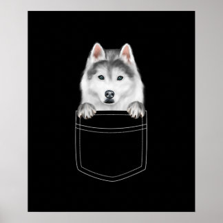 Siberian husky Hund i Pocket |Rolig hund Älskare-g Poster