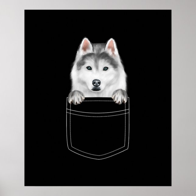 Siberian husky Hund i Pocket |Rolig hund Älskare-g Poster (Framsidan)