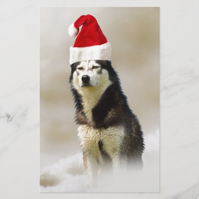 Siberian husky Hund med Santa Hat i Snö Brevpapper (Framsida)