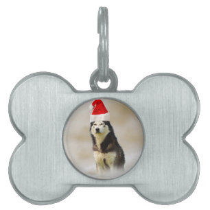 Siberian husky Hund med Santa Hat i Snö ID-bricka Husdjur