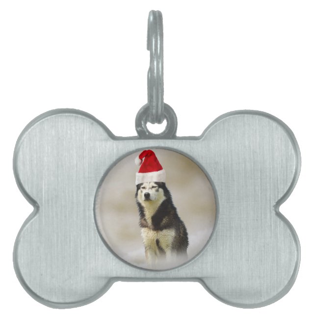 Siberian husky Hund med Santa Hat i Snö ID-bricka Husdjur (Framsidan)
